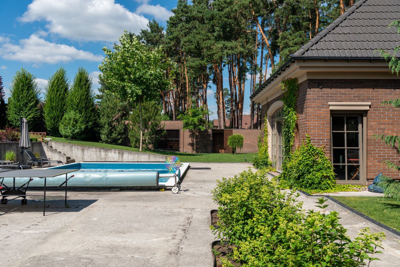 Dive In — Romo's Pools
